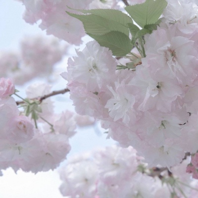 海城FurryQQ群介绍